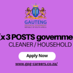 (x 3 POSTS government) CLEANER / HOUSEHOLD