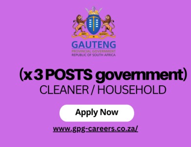 (x 3 POSTS government) CLEANER / HOUSEHOLD