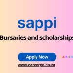 Bursaries and scholarships​